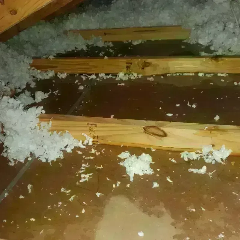 Attic Water Damage in North Browning, MT