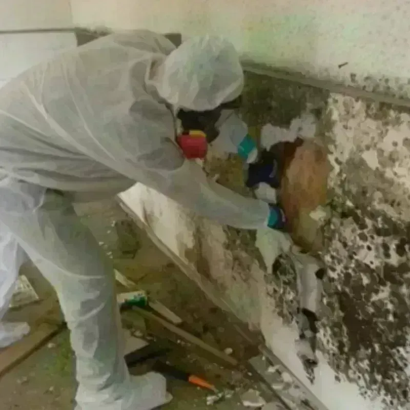 Mold Remediation and Removal in North Browning, MT